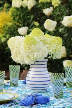 Limelight PeeGee Hydrangea - 3 Gallon Pot -Hydrangeas Zone Hydrangea Limelight 106 1